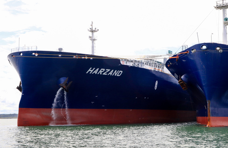 navio4