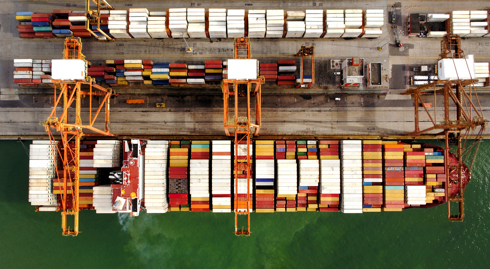 WhatsApp Image 2025 12 10 at 10.48.03