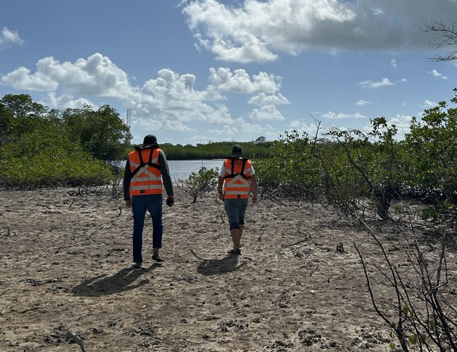 WhatsApp Image 2025 11 04 at 12.17.28