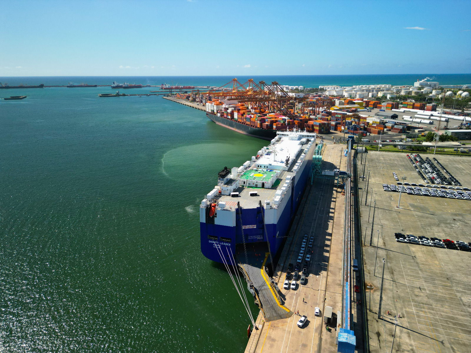 WhatsApp Image 2025 11 07 at 15.18.21 1